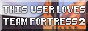 this user loves team fortress 2