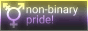 non-binary pride! non-binary pride!