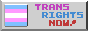 trans rights now! trans rights now!